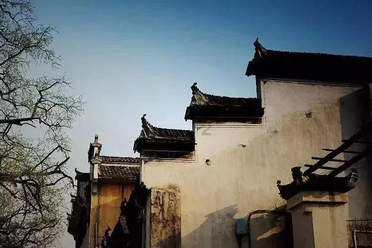 @回家的你 这张网得探一探